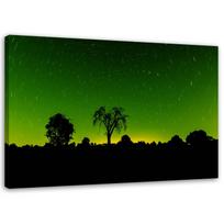 Canvas print Aurora Borealis Green Forest 60x40 žalia