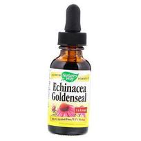 Žolelių mišinys su Ežiuolė, Ežiuolė Goldenseal, Nature's Way 30ml (71344036) 30ml