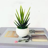 2 Pcs Artificial Aloe Simulation Potted Plant Mini Potted Plant Artificial Plastic Display Mold Bonsai for Home Table Decor