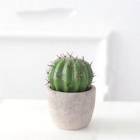 1 Pc Artificial Cactus Bonsai Plant Fake Flower Cactus Ball Artificial Plastic Plants for Home Living Room Desktop Decoration