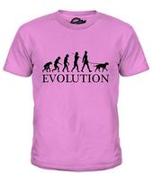 Irish Wolfhound Evolution Of Man Unisex T-shirt Short Sleeve Summer Cool Graphic T Casual S
