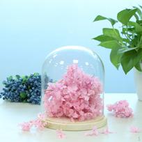 Clear Landscape Terrarium Container Flower Holder Dome C pink