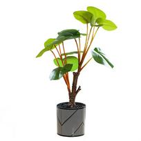 Artificial Flower Bonsai Simulated Plant Artificial Potted Plant
