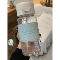 500ml Water Bottle with Straw Pop-Up Cover Sippy Portable Cute Plastic Drinking Bottle Leak-Proof Drinkware for Drinking 500ml gray