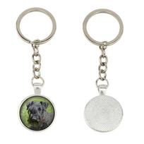 Cesky Terrier, Czech Terrier, Bohemian Terrier - keychain in a box, own photo, keychain pendant from Art-Dog brand sidabras