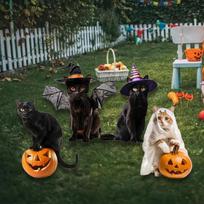4Pcs Cat Statues Garden Stakes Animal Sculptures Halloween Decorations Metal Kitty Figurines Ground gray
