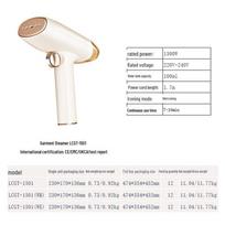Xiaohuaxian Nešiojamas rankinis garinis lygintuvas namams ir bendrabučiui - Atitinka Europos ir JK standartus European standard 220-240V white