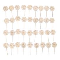 36pcs Watch Me Grow Succulent Tags Safe Eco Friendly Wooden Hexagonal Succulent Tags for Flower Pot