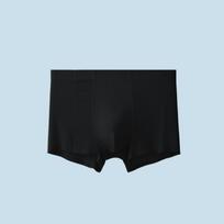 Ice Silk Seamless Men's Underwear with Mesh Breathable Underwear Silk Antibacterial Flat Toe Underwear 4XL vandens mėlyna spalva
