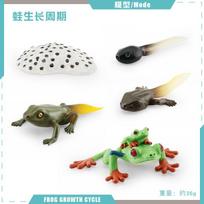 Simulation Of Red-Eyed Frog Horned Frog Triangular Dead-Leaf Frog Growth Cycle Static Model Frog Growth Process Ornament