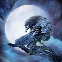 Dimond Cross Stitch Unfinished Diy Diamond Painting Alone Bird & Moon Needlework Diamond Embroidery 30x30CM