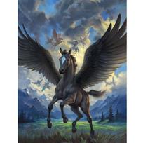 5D Apvalus deimantinis paveikslas Pegasas Kryželiu siuvinėjimo amatai Deimantinė siuvinėjimo freska Namų dekoravimas 20X30CM black