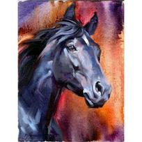 5D deimantinis siuvinėjimas Arklio paveikslas Deimantinis tapymas kryželiu 20X30CM black