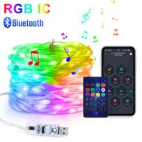 5M 10M 20M Kalėdinės eglutės RGBIC lemputės Išmanus Bluetooth valdymas USB LED girlianda Lauko programėlės nuotolinio valdymo girlianda Dekoracija 5M-50LEDs green