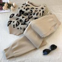 2vnt/komplektas Moteriški megzti leopardo megztiniai megztiniai+kelnių komplektai moteriški madingi džemperiai kelnės 2 vnt Kostiumai Apranga S-XXL XXL