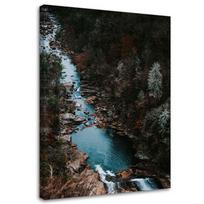 Canvas print, River in the forest nature landscape 40x60 mėlyna