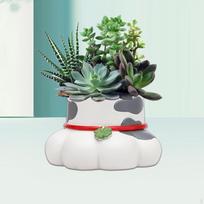 Cat Claw Flower Pot Decorative Figurine Pencil Holder Planter Statue for Living Room Patio Green Leaf gray