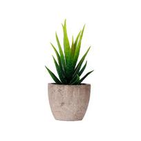 Fake Succulent Bonsai Nice-looking Ornamental Realistic Mini Artificial Succulent Plant Fake Flower Bonsai for Living Room šviesiai žalios spalvos