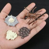 Naujausias simuliacinių gyvūnų augimo ciklo modelis Bitė Voras Drugelis Veiksmo figūrėlės Figūrėlė Mielas Vaikų Kūdikio Žaislas Figūrėlės Edukacinis