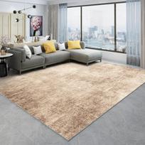 Modernus minimalistinis vienspalvis kilimas svetainei, namų dekoravimui, didelio ploto kilimas miegamajam, neslystantis kilimėlis, plaunamas grindų kilimėlis 80x120cm