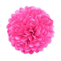 1pcs Set 7.8inch Rose Red Paper Pom Pom Paper Paper Flowers Decorations Pom Pom Paper Balls For Birthday Party 7.8 inch pink