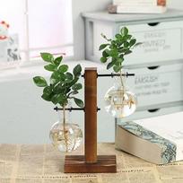 Hydroponic Plant Terrarium Vasevase Decoration Home Glass Bottle Hydroponic Desktop Decoration Office Green Plant Small Potted gray