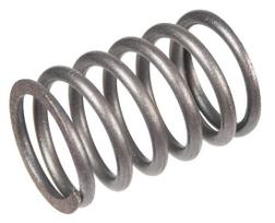 Valve Spring Zongshen Xp380 Xp420 Xp440 100004569