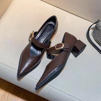 Hong Kong Mary Jane shoes women's 2024 autumn and winter new with skirt one-word buckle with thick heel pointed high heels 35