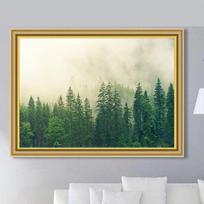 Home Decoration Diamond Painting Diamond Embroidery Frog Forest Scenery Cross Stitch 20X30CM