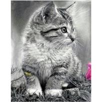 5D „pasidaryk pats“ deimantinis piešimas Mažas kačių siuvinėjimas Siuvinėjimas kryželiu namų dekoras, rankų darbo dovana 20X25CM gray