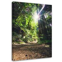 Canvas print Jungle Forest Nature Green 40x60 žalia