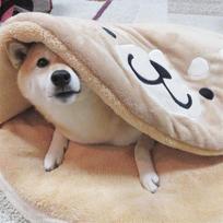 Creative Gong Shiba Inu Pet Nest Mat Cartoon Short Plush Round Cat and Dog Mat 85*8cm