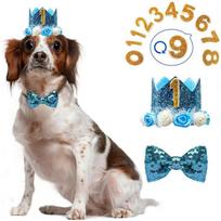 Dog Birthday Party Hat Suitable for Girls/Boys Reusable Birthday Party Cat Cat Head with 0-9 Doll Charm Beauty Accessories with Glue Point 1 Set mėlyna