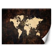 Wallpaper World Map in Brown 100x70 ruda