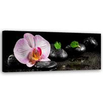 Drobės spauda, Žydinti zen orchidėja 90x30 juoda