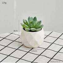 Modernaus stiliaus sukulentinis vazoninis augalas Dirbtiniai augalai Namų Vidaus Balkono Plastikinis Vazoninis Augalas Mielas Bonsai Namų Dekoravimas Dovanos