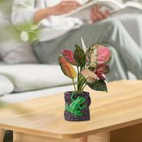 Flower Pot Planter with Frog Figurine 10x10cm Multifunctional Desktop Decoration Resin for Home Style A