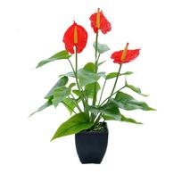 Home Artificial Flower Bonsai Indoor Outdoor Simulation Flowers Plant Living Room Courtyard Patio Decoration