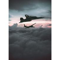 Vintage Planes Poster Fighter Jet Military Aircraft Launch Canvas Painting Print Wall Art Picture Office Living Room Home Decor 21cm×30cm NoFrame gray
