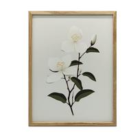 Jasmine Branch Jasmine Branch, 30X40 Cm, Dark Brown Wooden Frame, 230 Gsm Matte Paper 36