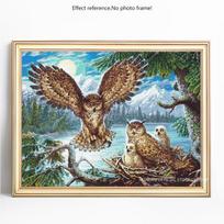 5D deimantų tapyba Viso apvalaus gyvūnų pelėdos siuvinėjimo paveikslėlis Kalnų krištolas deimantas 20X30 gray