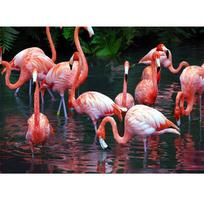 Deimantinio siuvinėjimo mozaikos tapybos rinkiniai Sienos kryžiaus lipdukas Flamingo paveikslėlis Namų dekoras 20X30CM
