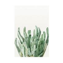 WCIC New Aquatic Vines Green Plant Leaves Dekoratyvinis namų sienų apdaila Kabantis paveikslas 30*40cm gray