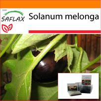 SAFLAX - Sodas maiše - Baklažanai - 20 sėklų - Su substratu tinkamame stovimame maišelyje - Solanum melonga