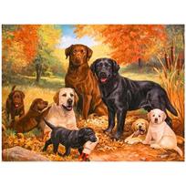 „Pasidaryk pats“ 3D deimantinis piešimas gyvūnų šunims siuvinėjimas kryželiu amatų dygsnis namų dekoras Full Round 20x25CM black