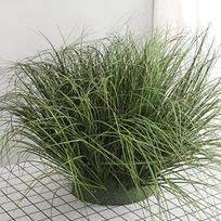 10Pcs Fake Greenery Home Decoration Simulation Single Dandelion Indoor Simulation Plant Wall Simulation Green Onion Outdoor Decor S geltona