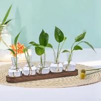 Plant Terrarium Glass Vase Plants Holder Decorative Planter for Table Centerpiece white