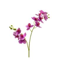Dirbtinė orchidėja 3D spausdinimas Darbalaukio papuošalai Plastikinis naktinio staliuko svetainės modeliavimo augalas biurui 1