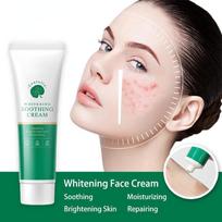 Centella veido kremas Drėkinamasis Drėkinamasis Oil Control Anti Aging Raukšlių balinimas Lyginamasis Tepalas Veido odos priežiūra 5G beige