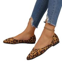 Fashion Fashion New Loafer Large Size Flats Leopard Pointed Toe Casual Women Shoes New Comfortable Walking Mujer Zapatos:Wear-resisting 40 leopardo rašto spalva